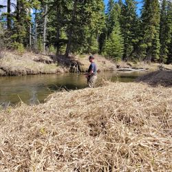 Trout treasures with Alberta guide.