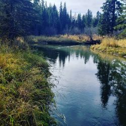 Alberta fishing guide reveals secrets