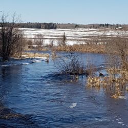 Alberta's finest fly fishing.