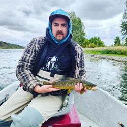 Hooked on Alberta trout excursions.