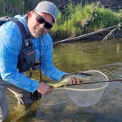 Fly fishing wonders in Alberta.