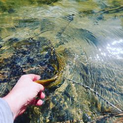 Angling adventure in AB