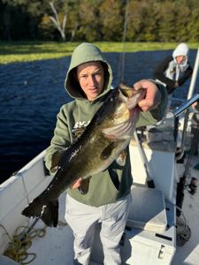Burly largemouth bass!