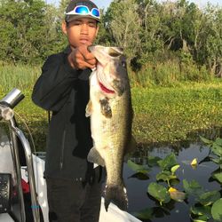 A lone angler fishing in Florida