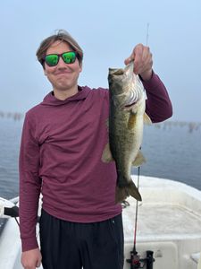 Fresh caught bass on fishing boat in Interlachen FL