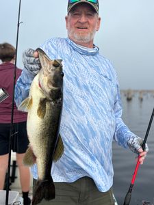 Large bass fish being held up after successful catch in Interlachen FL