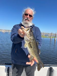 Freshwater bass caught while fishing in Interlachen FL