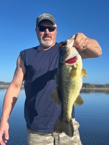 Angler holding freshly caught bass fish while fishing in Interlachen FL