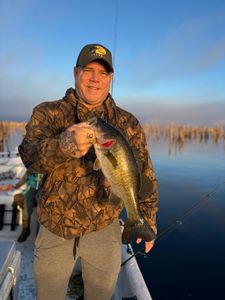 Angler fishing in Florida