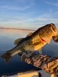 Fishing in Florida, best day ever!