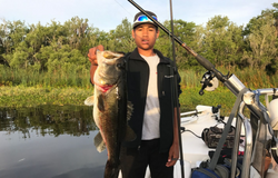 Fishing for a large Florida bass in Interlachen