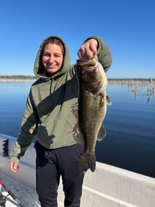 Angler fishing in Florida