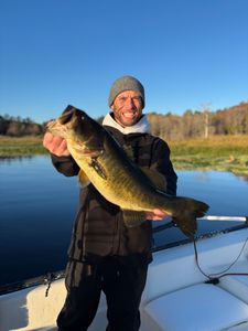 Smiling angler with impressive largemouth bass