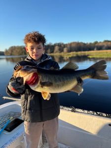 Chunky largemouth bass at sunrise