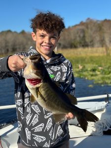 Large bass caught on a sunny day