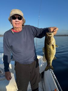 Classic largemouth bass!