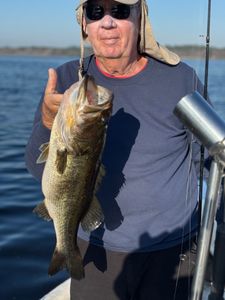 Bulky largemouth bass!