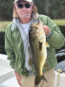 Chunky largemouth bass!