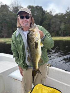 Beefy largemouth bass!