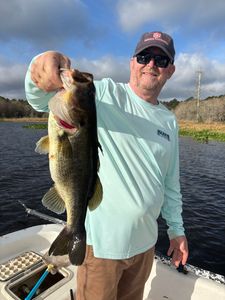 Chunky largemouth bass!