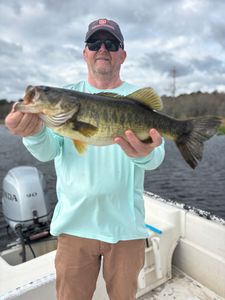 Striped Slab!