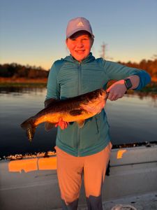 Glowing Catch!