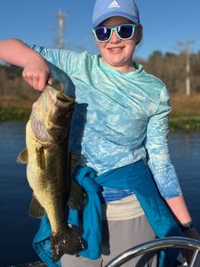 Impressive largemouth bass!