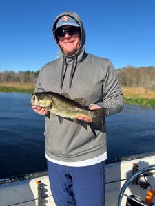 Healthy largemouth bass!