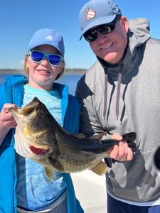 Massive Bass!