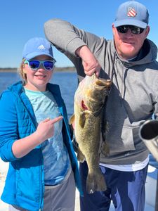Massive largemouth bass!
