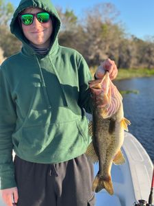Beastly Bass!
