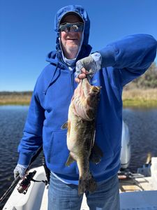 Bulky Bass!