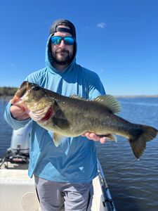 Large bass caught during fishing trip in Interlachen FL