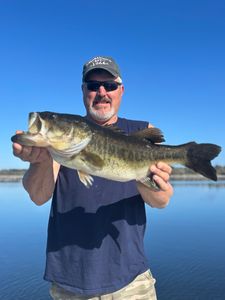 Angler holding large bass fish caught while fishing in Interlachen FL with lake and clear sky in background