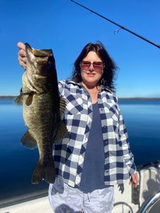 A large Largemouth Bass caught in Interlachen