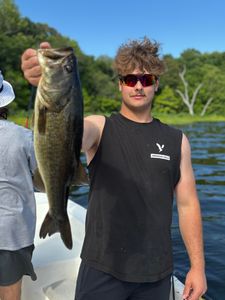 Largemouth Bass caught in FL
