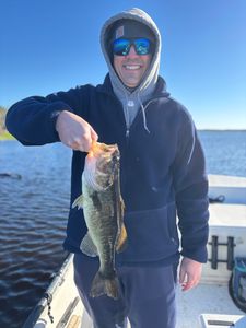 A photo of a largemouth bass caught in Florida