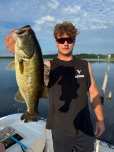 Largemouth bass fish caught in FL