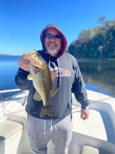Largemouth bass caught by angler in Florida