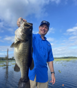 Largemouth bass caught in FL