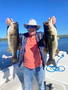 Largemouth Bass caught in FL