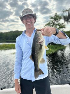 Largemouth bass caught while fishing in FL