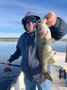 Largemouth bass caught fishing in FL