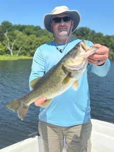 Largemouth Bass caught fishing in FL