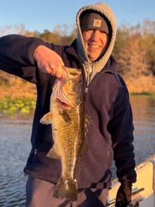 One largemouth bass caught in Interlachen