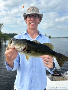 Largemouth bass caught while fishing in Interlachen