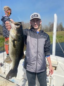 A huge Florida Bass caught while fishing in FL