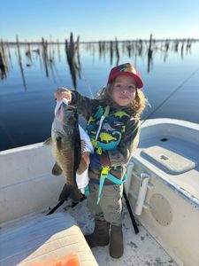 Smallmouth bass being caught while fishing in FL