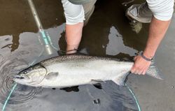 Coho Salmon caught while fishing in OR