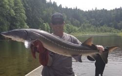 White Sturgeon fishing in OR